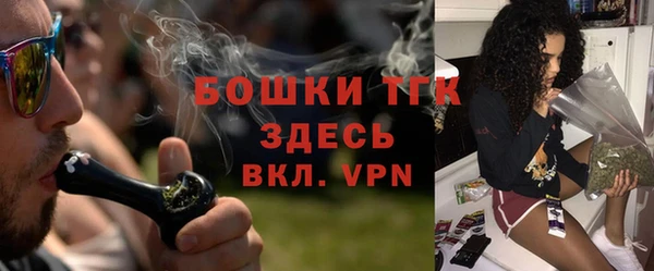 гидра Новодвинск