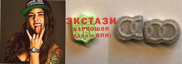 гидра Новодвинск