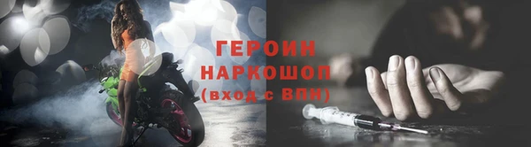 гидра Новодвинск