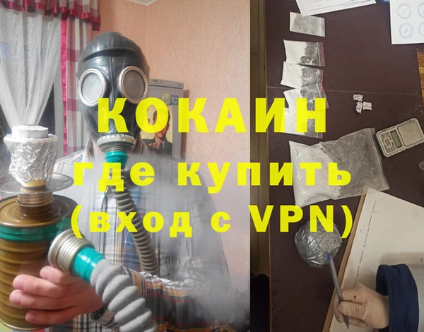 гидра Новодвинск