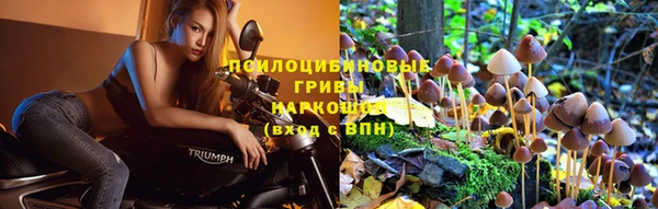 прущий лед Аша