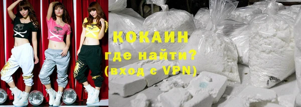 гидра Новодвинск