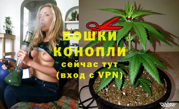 гидра Новодвинск