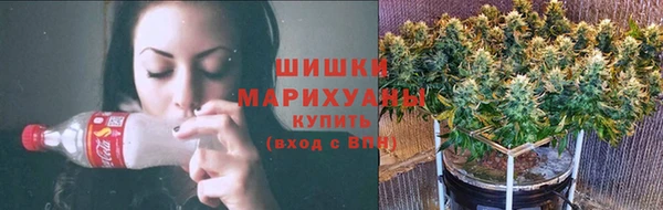 гидра Новодвинск