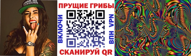 кракен ССЫЛКА  Полтавская  Галлюциногенные грибы GOLDEN TEACHER 